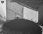 Capi_Dubne_20250817_220502.jpg