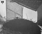 Capi_Dubne_20250817_222003.jpg