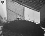 Capi_Dubne_20250817_230003.jpg