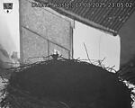 Capi_Dubne_20250817_230502.jpg