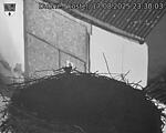 Capi_Dubne_20250817_233003.jpg