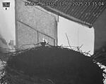 Capi_Dubne_20250817_233504.jpg