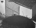 Capi_Dubne_20250817_234002.jpg