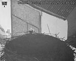 Capi_Dubne_20250817_234502.jpg