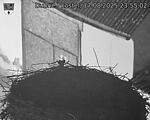 Capi_Dubne_20250817_235502.jpg