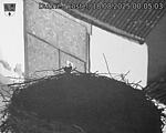 Capi_Dubne_20250818_000503.jpg