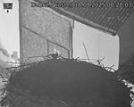 Capi_Dubne_20250818_002003.jpg