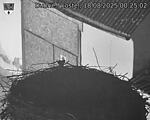 Capi_Dubne_20250818_002502.jpg