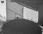Capi_Dubne_20250818_003503.jpg