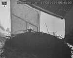 Capi_Dubne_20250818_004503.jpg