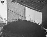 Capi_Dubne_20250818_005002.jpg