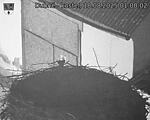 Capi_Dubne_20250818_010002.jpg