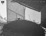 Capi_Dubne_20250818_010504.jpg