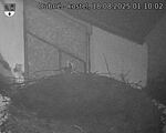 Capi_Dubne_20250818_011002.jpg
