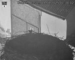 Capi_Dubne_20250818_013002.jpg