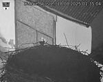 Capi_Dubne_20250818_013504.jpg