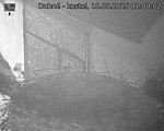 Capi_Dubne_20250818_014003.jpg
