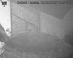 Capi_Dubne_20250818_015003.jpg