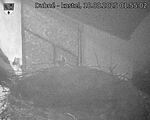 Capi_Dubne_20250818_015502.jpg