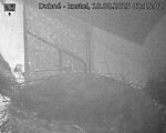 Capi_Dubne_20250818_021503.jpg