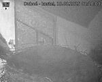 Capi_Dubne_20250818_022003.jpg