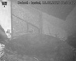 Capi_Dubne_20250818_023002.jpg