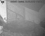 Capi_Dubne_20250818_023503.jpg