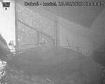 Capi_Dubne_20250818_030002.jpg