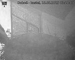 Capi_Dubne_20250818_032003.jpg