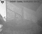 Capi_Dubne_20250818_034504.jpg