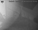 Capi_Dubne_20250818_035502.jpg