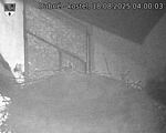 Capi_Dubne_20250818_040003.jpg