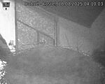 Capi_Dubne_20250818_041003.jpg