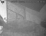 Capi_Dubne_20250818_043002.jpg