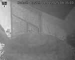 Capi_Dubne_20250818_043503.jpg