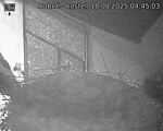 Capi_Dubne_20250818_044503.jpg