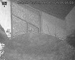 Capi_Dubne_20250818_050503.jpg