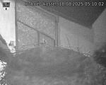 Capi_Dubne_20250818_051002.jpg