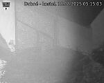 Capi_Dubne_20250818_051503.jpg
