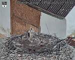 Capi_Dubne_20250818_075502.jpg