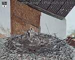 Capi_Dubne_20250818_081503.jpg