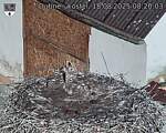 Capi_Dubne_20250818_082003.jpg
