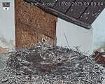 Capi_Dubne_20250818_090005.jpg