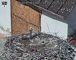 Capi_Dubne_20250818_115504.jpg