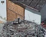 Capi_Dubne_20250818_130004.jpg