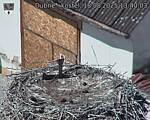 Capi_Dubne_20250818_134003.jpg