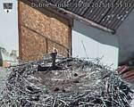 Capi_Dubne_20250818_135503.jpg