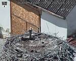 Capi_Dubne_20250818_142003.jpg