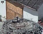 Capi_Dubne_20250818_142502.jpg