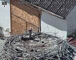 Capi_Dubne_20250818_145503.jpg